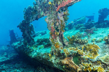 Philippines, Malayan Wreck at Tubbataha