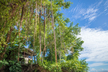 Sea Front Bungalow, Seabreeze Resort, Bunaken Island, Manado, Indonesia