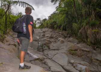 Trail to Mt. Lokon, Manado, Indonesia
