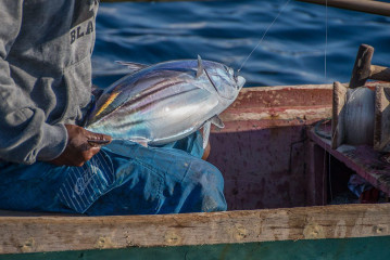Fisherman with fresh catch, Bunaken Island, Manado, Indonesia